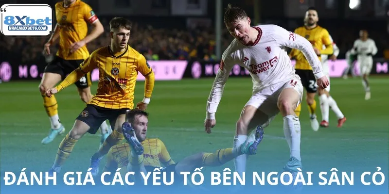 Đừng quên quan sát yếu tố ngoại cảnh khi đặt cược